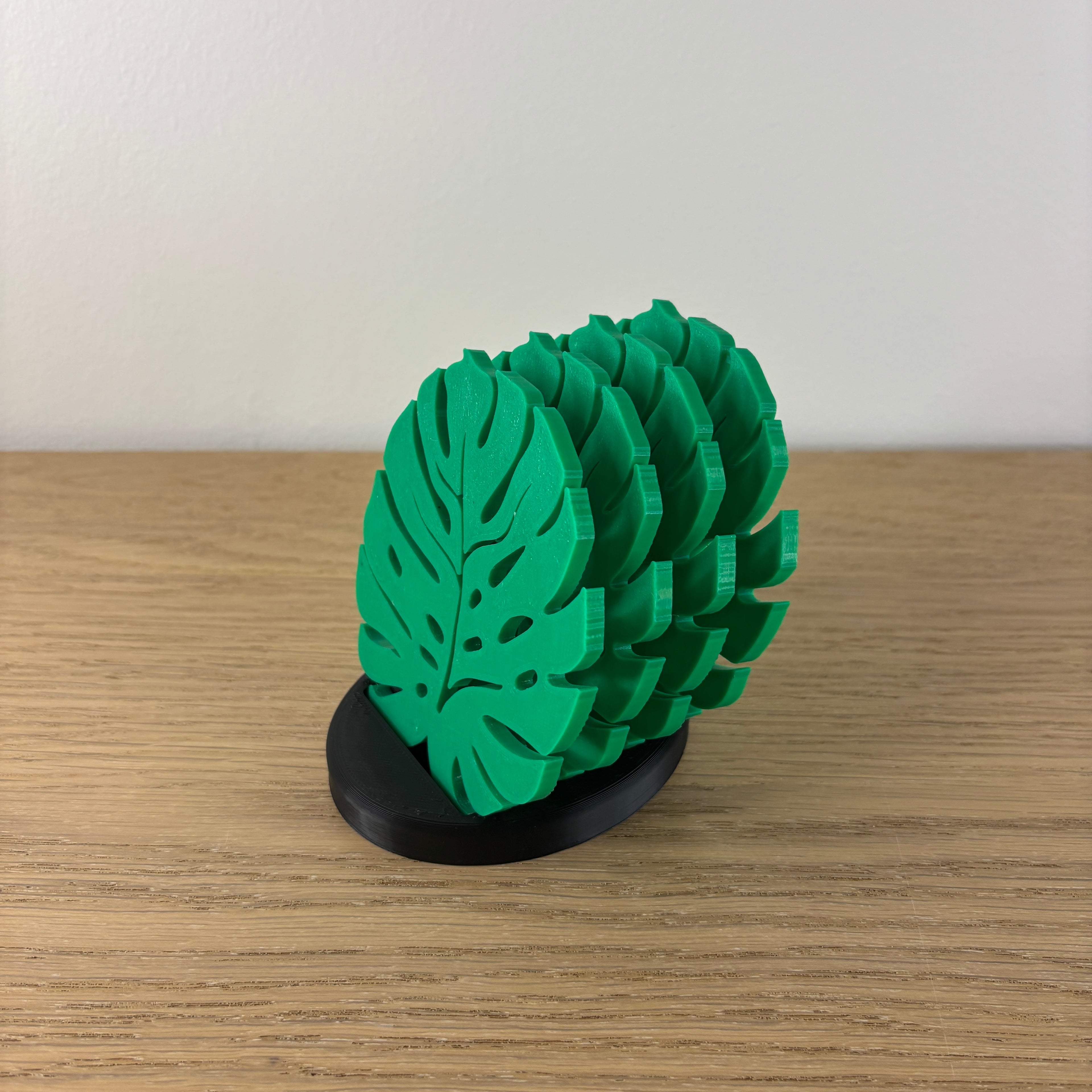 Sada podtácků Monstera s držákem