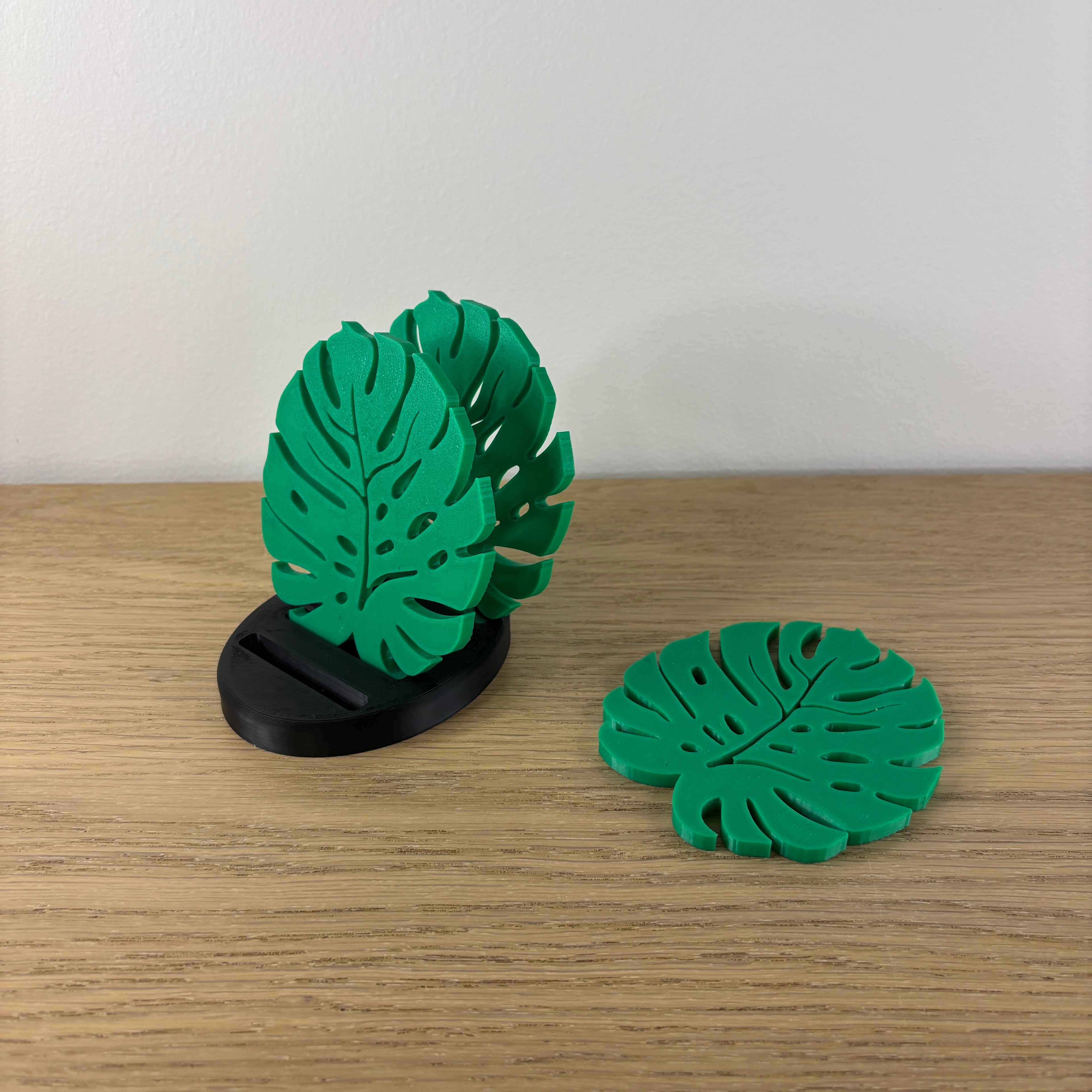 Sada podtácků Monstera s držákem