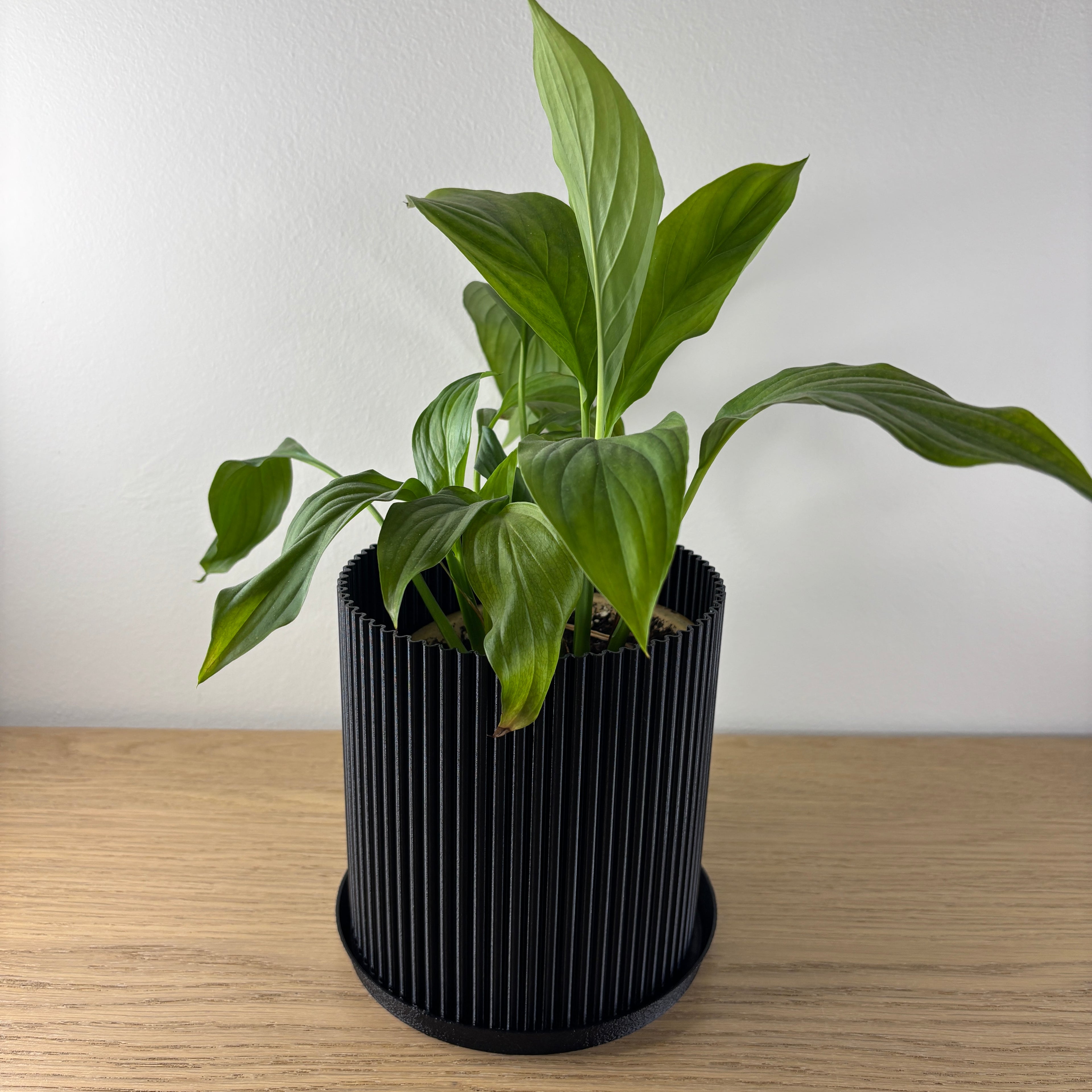 3D tištěný květináč vertikální vzor - pohled ze strany s rostlinou v interiéru