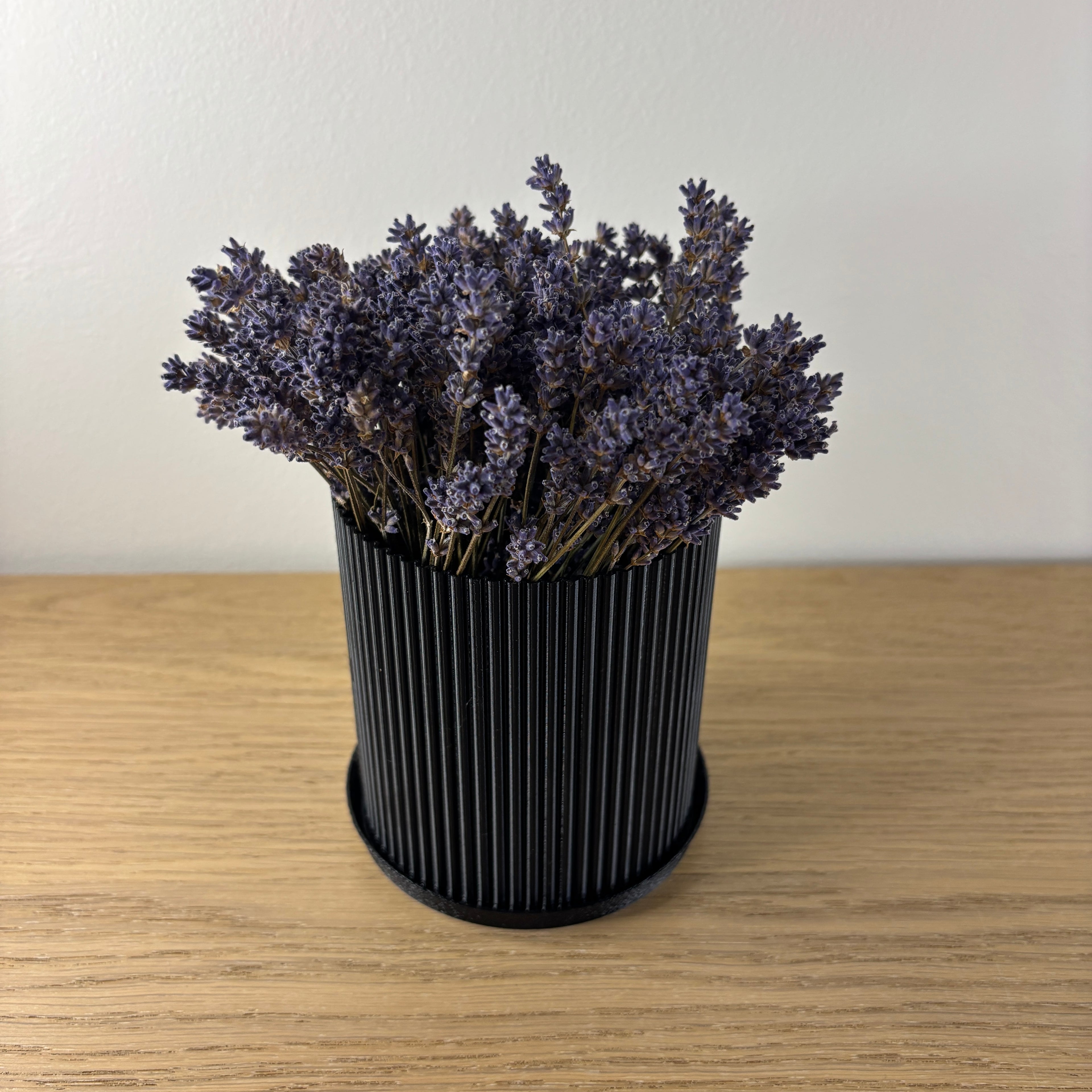 Černý květináč s vertikálním vzorem - pohled shora s rostlinou