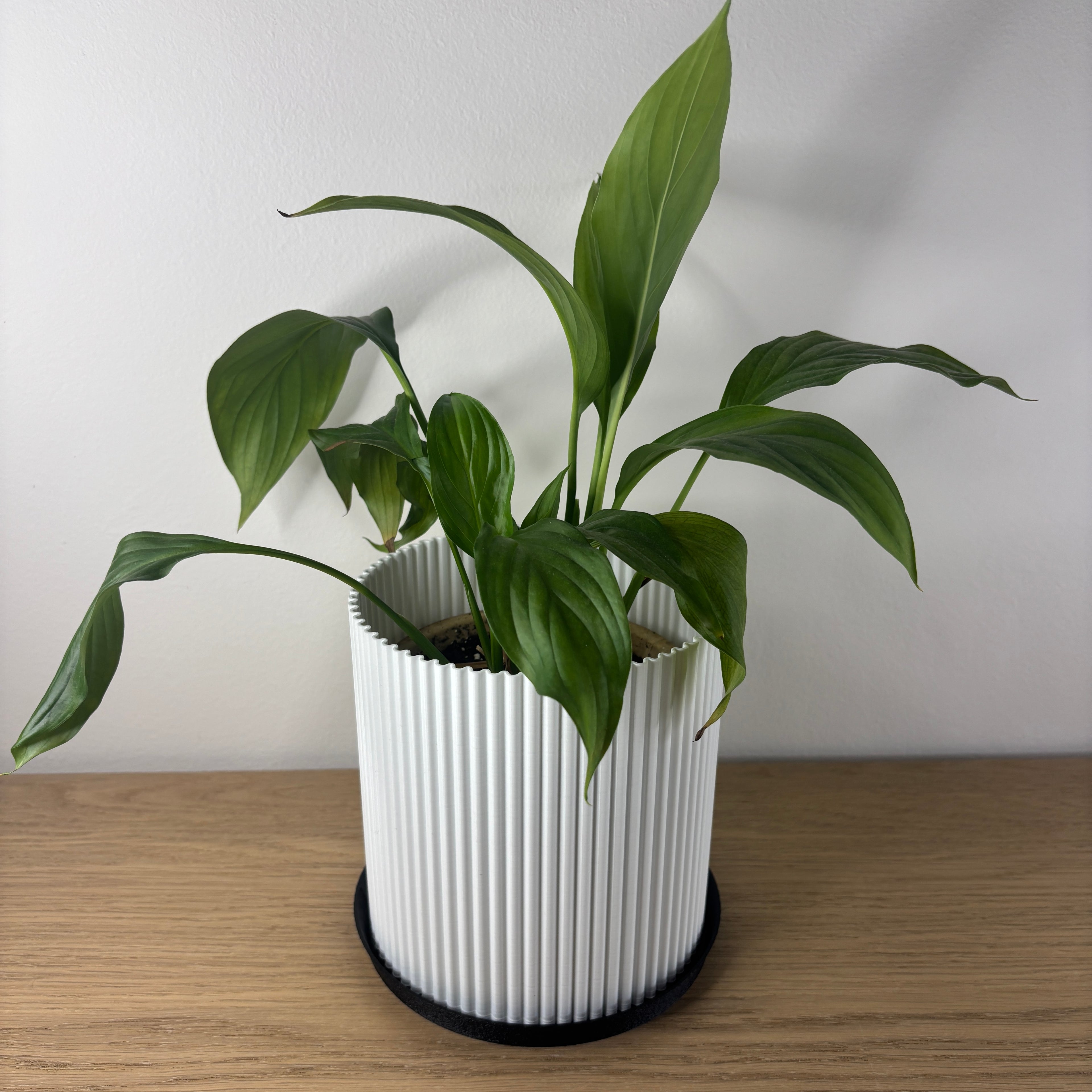 Minimalistický květináč s vertikálním vzorem - bílá barva s černým podstavcem - pohled zepředu