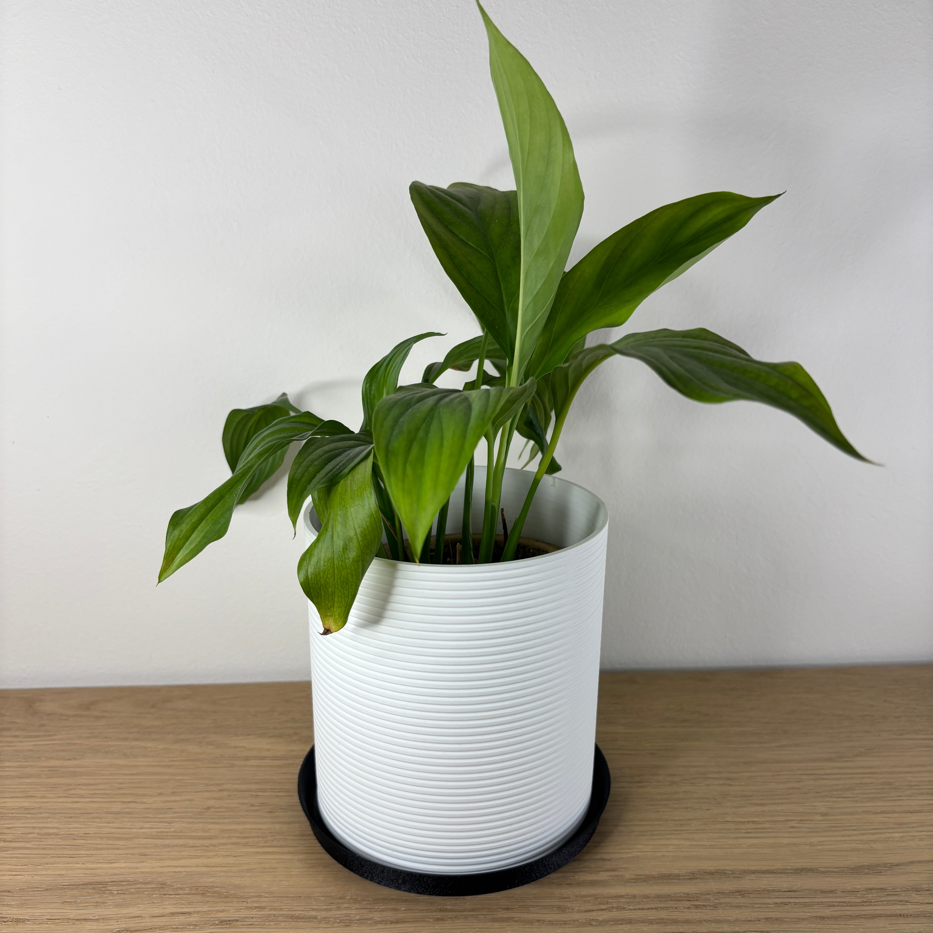 Minimalistický květináč - horizontální vzor